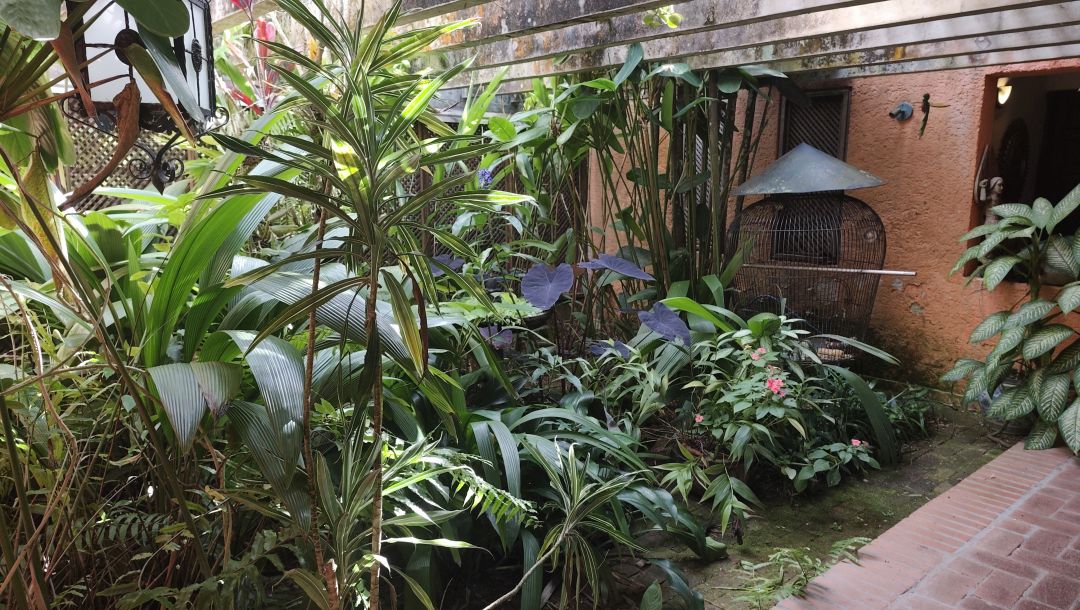 Se Vende para renovar, ubicada en el conjunto privado "Balcones de Anamigra", destacando por su extenso terreno y la posibilidad legal de desarrollar dos unidades de vivienda independientes en el mismo lote. El conjunto cuenta con estricto control de acceso. Vista panorï¿½mica de mï¿½s de 180 grados de la ciudad y el Avila.