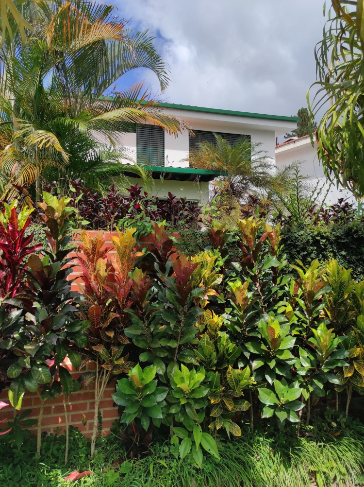 Rendidora casa en conjunto con vigilancia y control de acceso en calle ciega, precio de oportunidad, en muy buen estado, lista para mudarse.